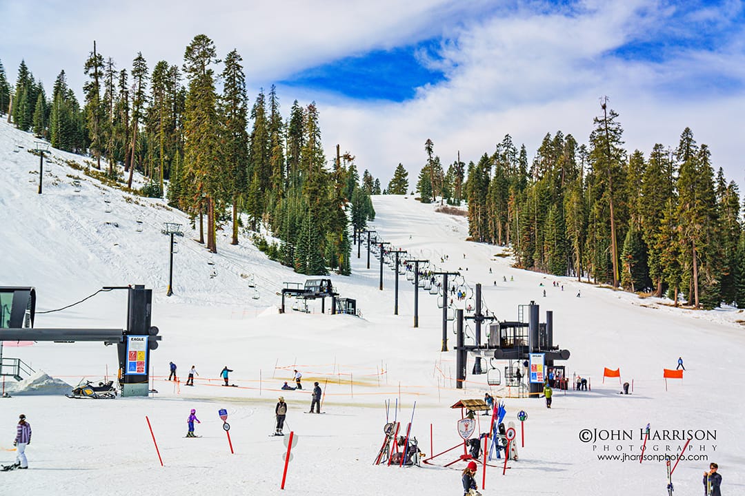 Downhill skiers enjoy the sunny slopes at Badger Pass in Yosemite National Park during late February spring conditions.