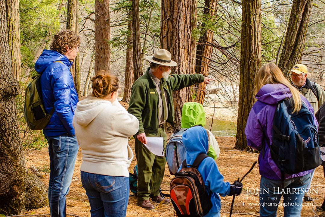 Yosemite National Park ranger leading a nature walk with visitors in Yosemite Valley, pointing out wildlife and forest ecology among tall pine trees near the river.