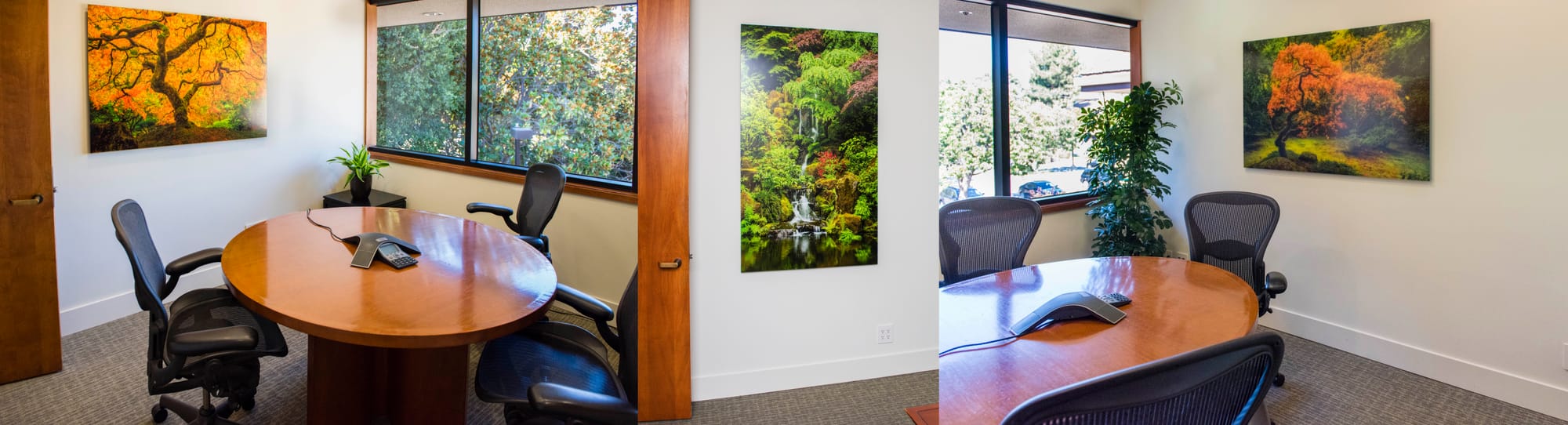 Japanese garden fine art photography installed in modern corporate office conference rooms featuring autumn maple tree and waterfall landscape wall art