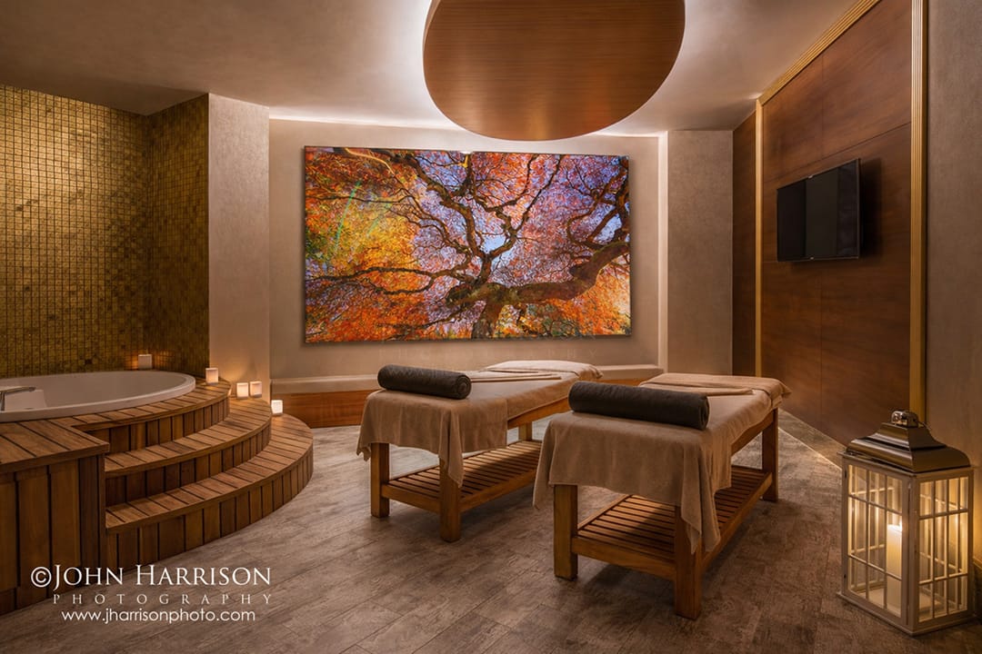 Large HD acrylic Japanese maple fine art print installed in a luxury wellness spa treatment room with warm lighting and calming biophilic interior design.