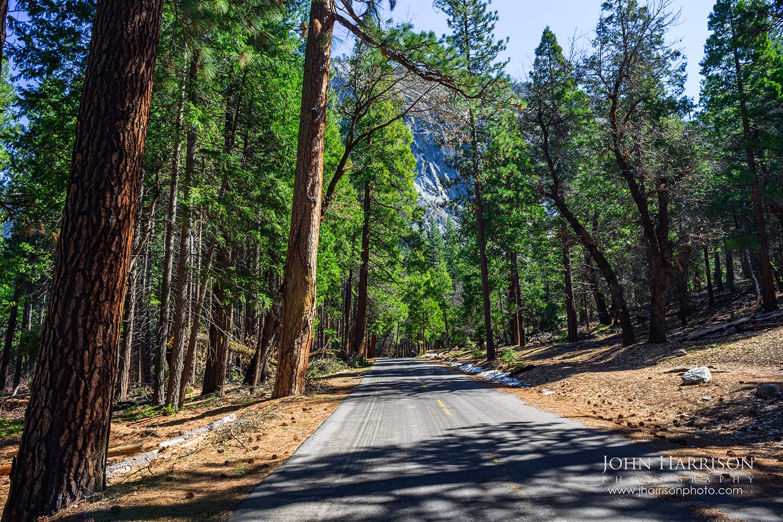 Forest road walk from Curry Village to Happy Isles trailhead leading to Vernal Fall in Yosemite Valley during spring.