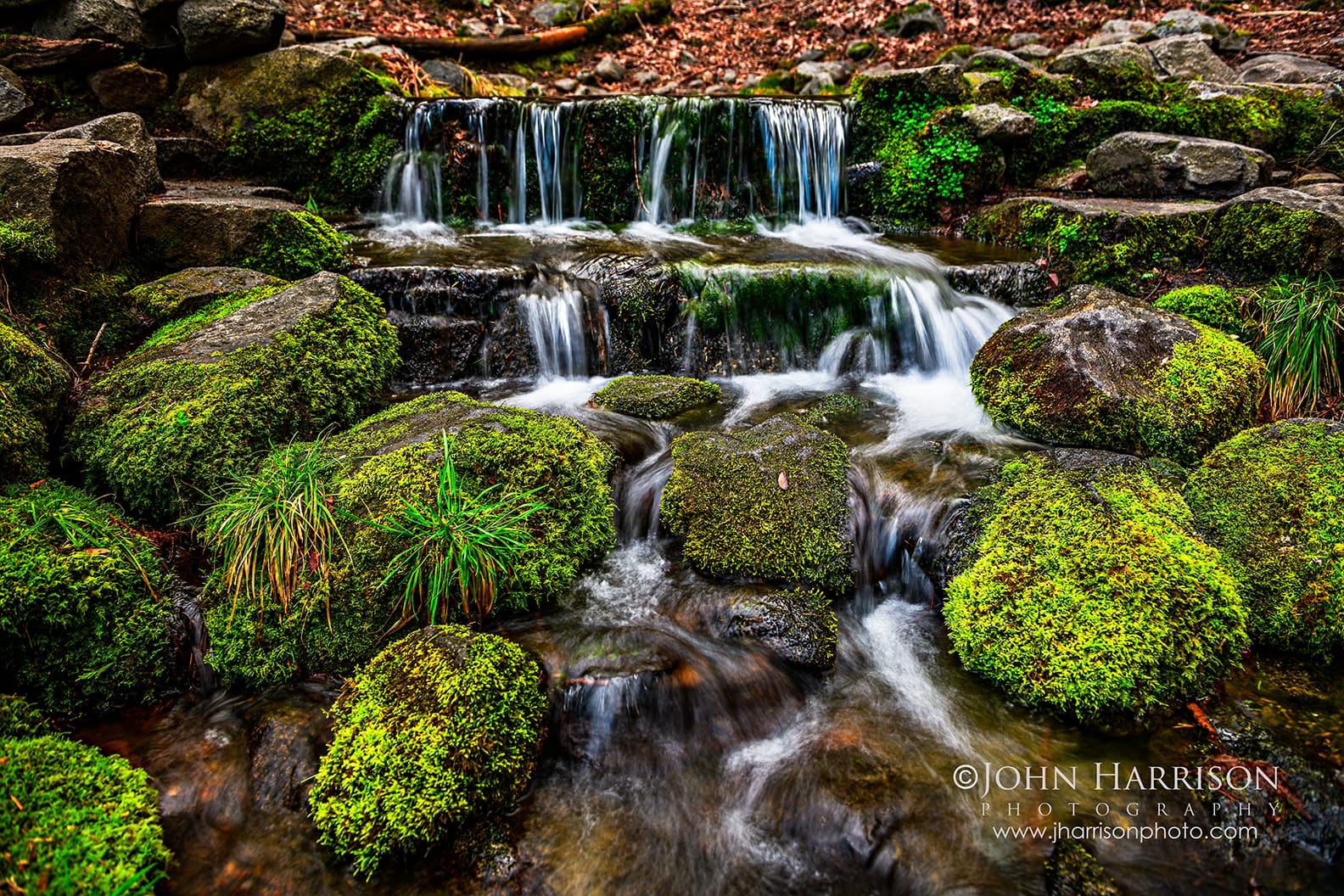 Fern Spring, often called Yosemite’s smallest waterfall, flowing over moss-covered rocks in Yosemite Valley, California.
