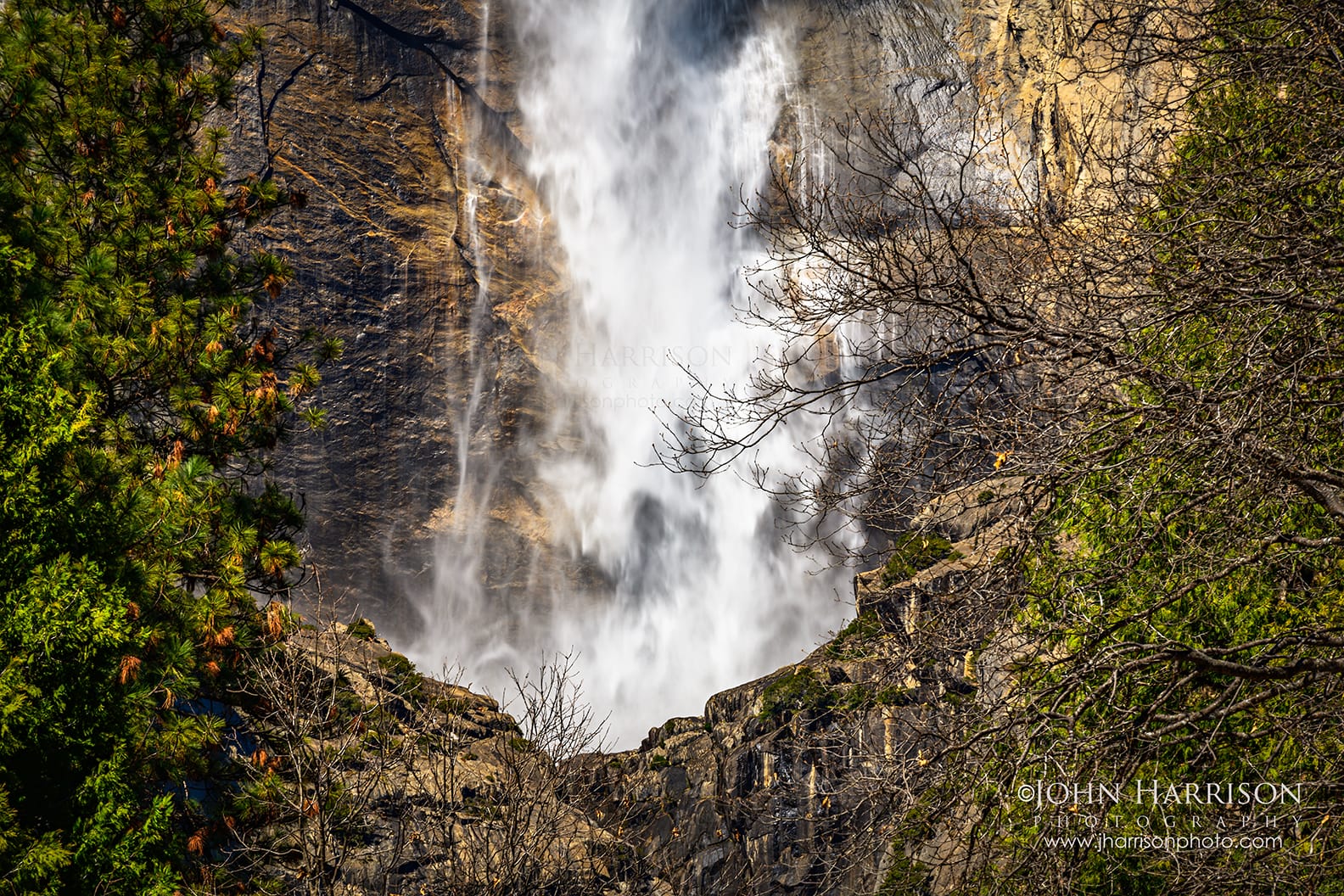 Upper Yosemite Falls in Yosemite Valley with spring runoff cascading down granite cliffs surrounded by forest